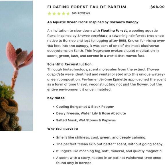 Future Society Floating Forrest 50 ml - Picture 2 of 3